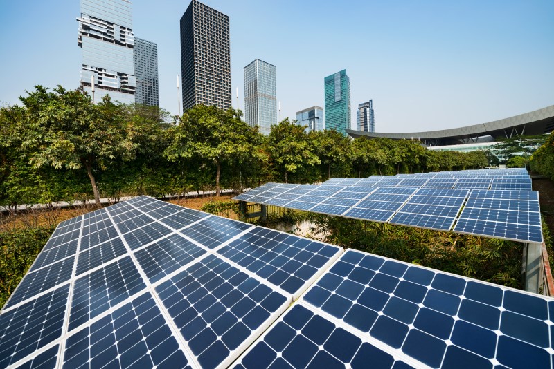 Sustentabilidade Empresarial – O Que é E Como Sua Empresa Pode Aplicá-la?